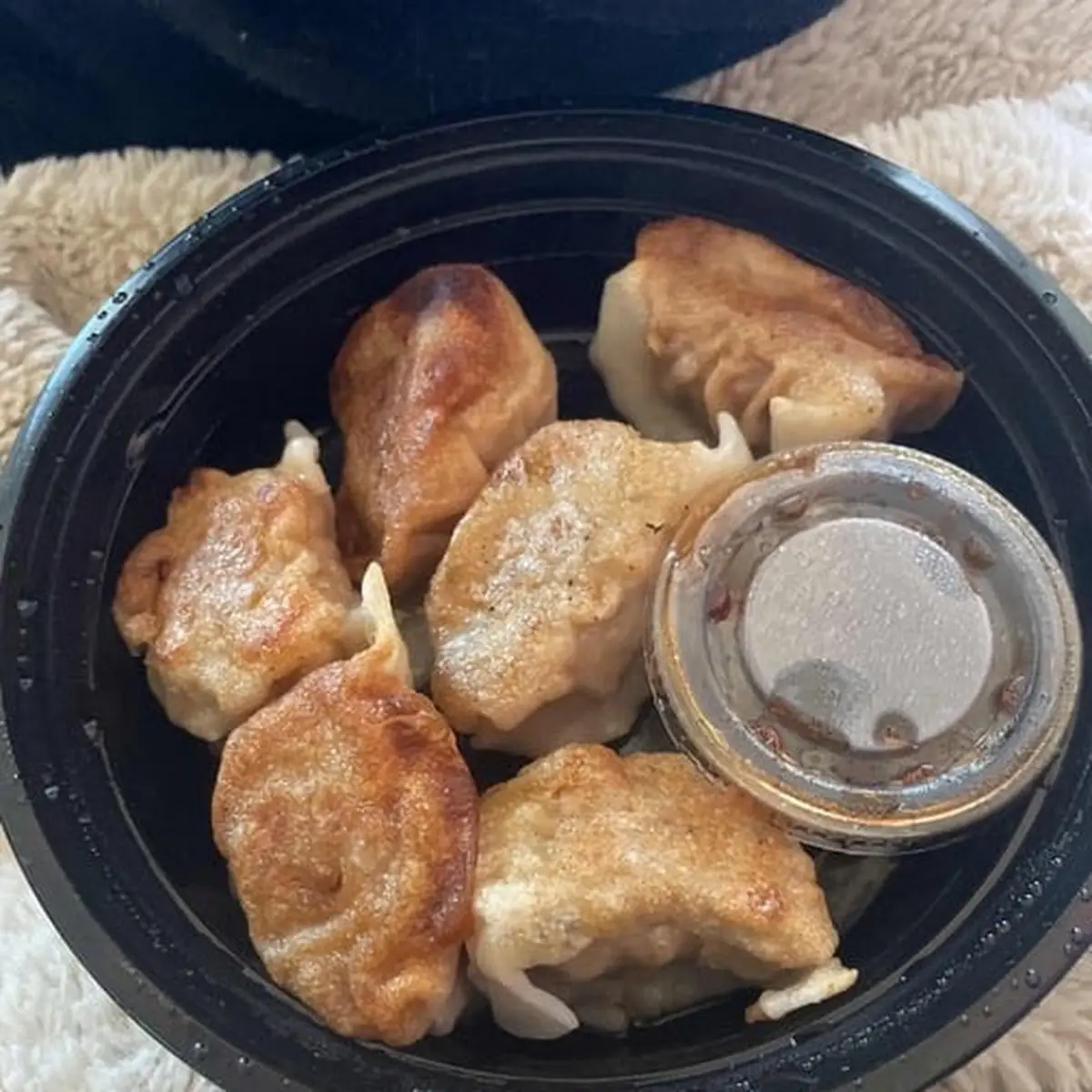 Steamed Dumplings 6 水饺
